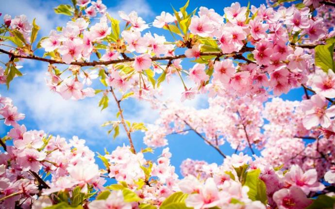 Favorite Season? Why??