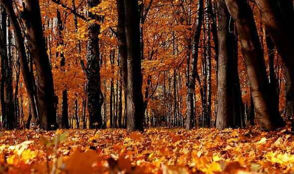 Favorite Season? Why??