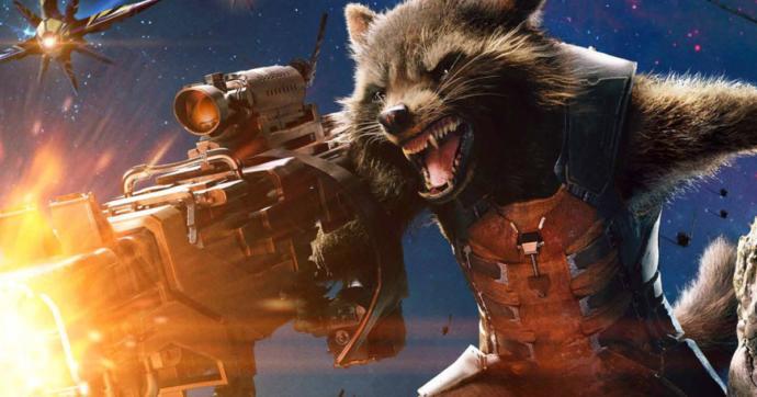 Racoons? yay or nay?