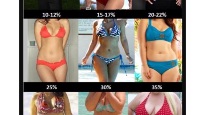 What's your preference of body fat on woman?