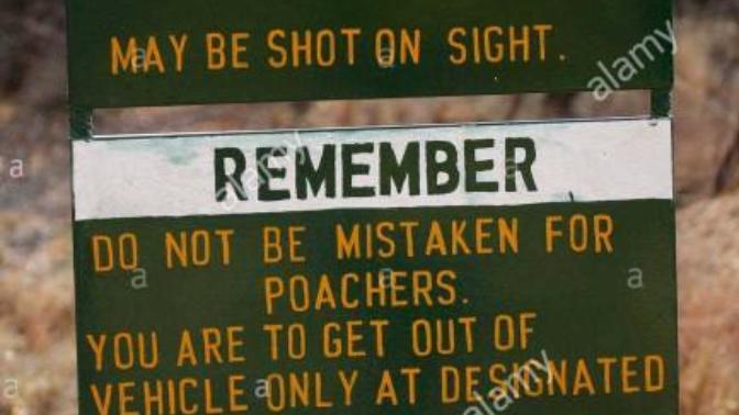 Should people suspected of actively poaching endangered animals be shot on sight?