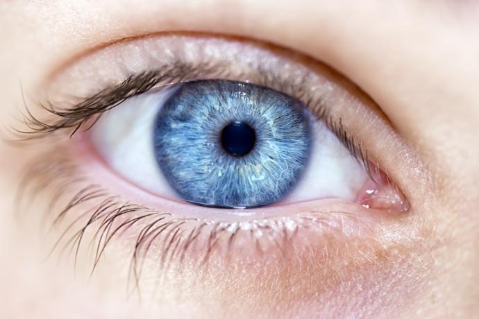 whats your favorite eye color?