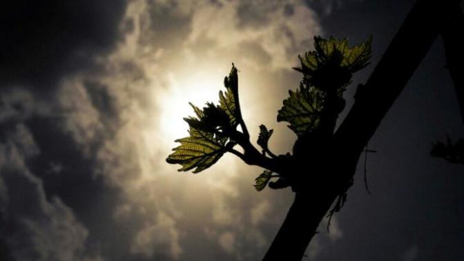 Rate my photography from 1 to 10?