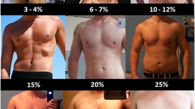 Which is your ideal body type?