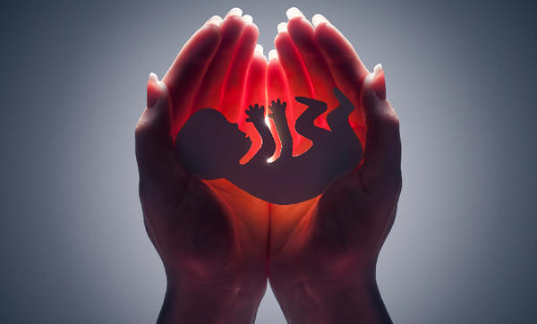Are you pro-life or pro-choice, Read the poll carefully?