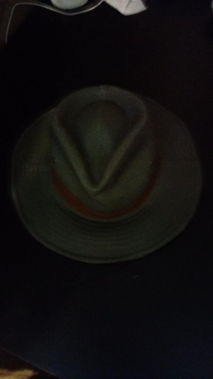 What do you think of my new hat, I got it for work?