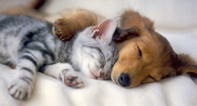 When you snuggle with someone do you prefer to be big spoon or little spoon?