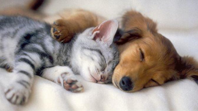 When you snuggle with someone do you prefer to be big spoon or little spoon?