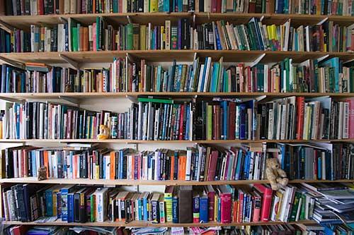 What is your favorite book genre?