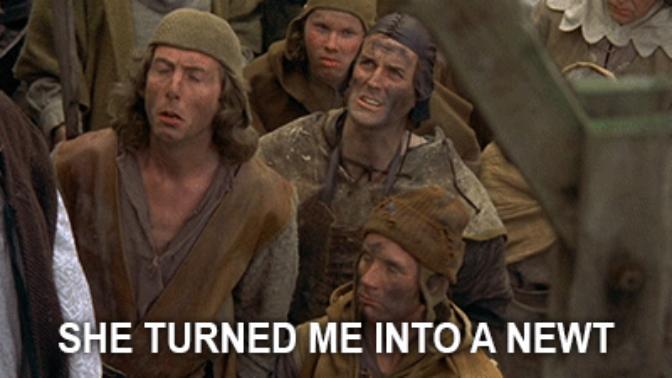 What would be your reaction to someone telling you a witch turned him into a newt?