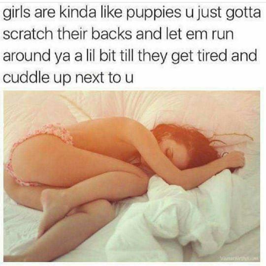 are girls like puppies??