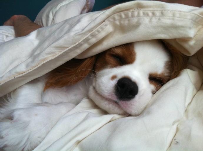 Are you a Blanket Hog?