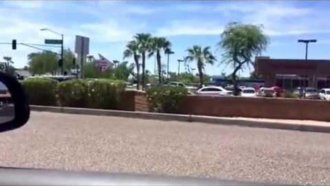 Was This Animal Abuse Or Was He Being A Self-Righteous Asshole? (Video dog abuser, man pulls gun)?