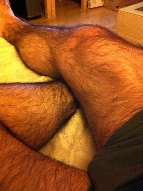 Do you like hairy men?
