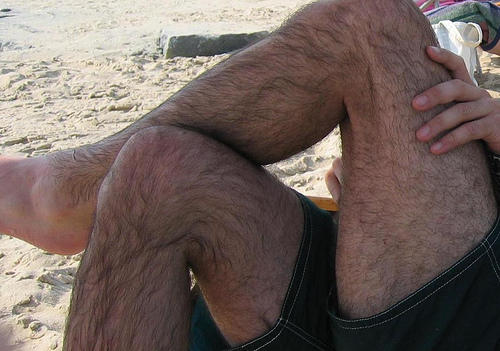 Do you like hairy men?