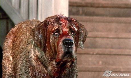 What is your favorite dog breed?