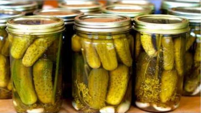 Which food provides best Probiotic?
