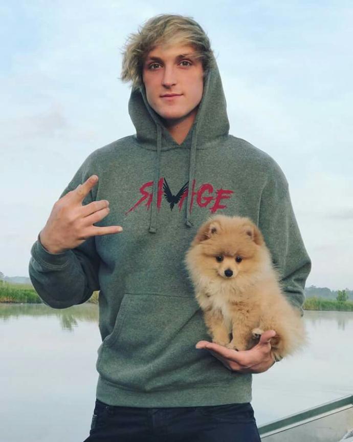 Who do you think is the better brother, Logan Paul or Jake Paul  ?