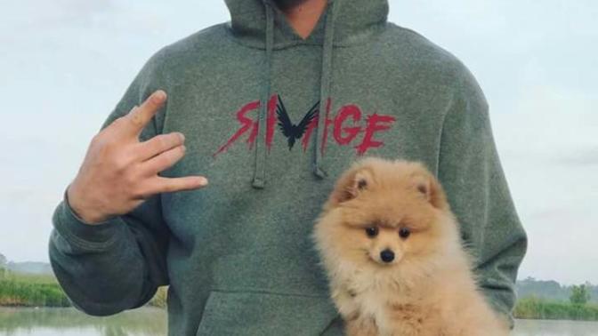 Who do you think is the better brother, Logan Paul or Jake Paul ?