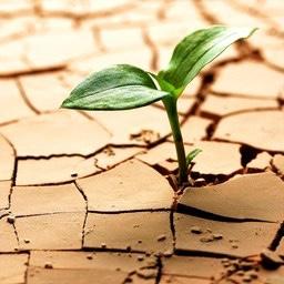 What goal do you think humanity is not focused enough on achieving?