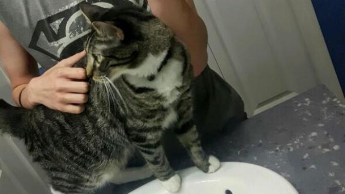 How do I look,,, to much acne?