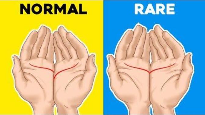 Palm-reading: What hand are you and what hand description is most accurate for you?