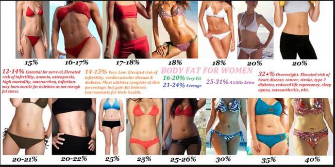 Which body type do you find most attractive?