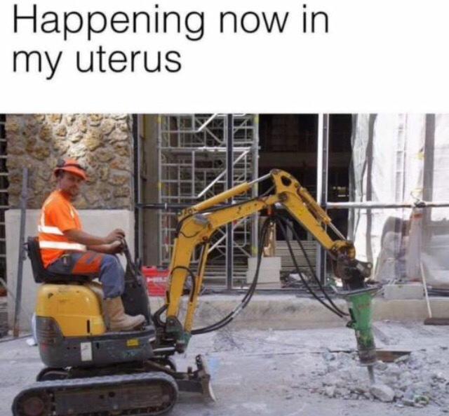 Post a meme or gif to describe how you're feeling today?