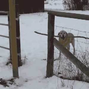 Post A Meme Or Gif To Describe How You Re Feeling Today Girlsaskguys