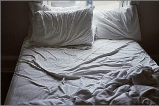 If you have pets that sleep in bed with you, what do you do when your SO spends the night?