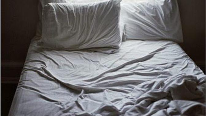 If you have pets that sleep in bed with you, what do you do when your SO spends the night?