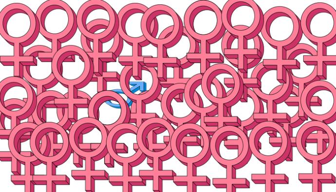 Does gynocentrism harm men?