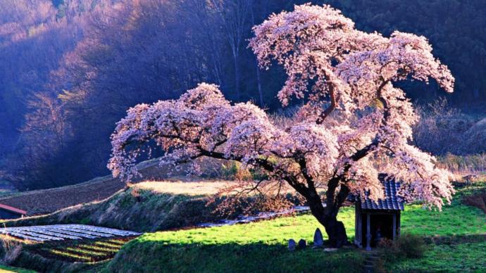 What does beautiful look like and mean for you?