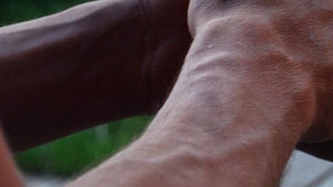 What's your opinion on veiny arms?
