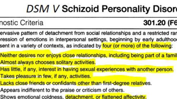 What do you think of people with Schizoid Personality Disorder (i. e. people who avoid social interaction)?