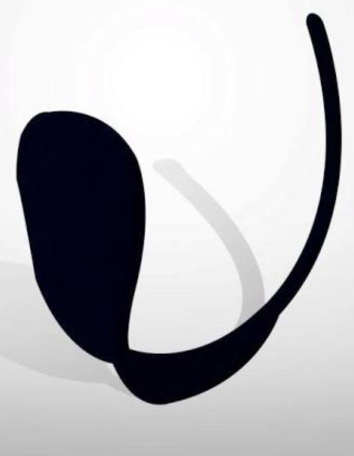 Have you ever worn a C String?