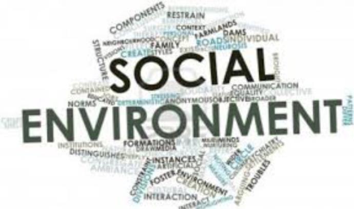 Do you think our environment impacts our sexuality or are we just born with a certain sexuality?