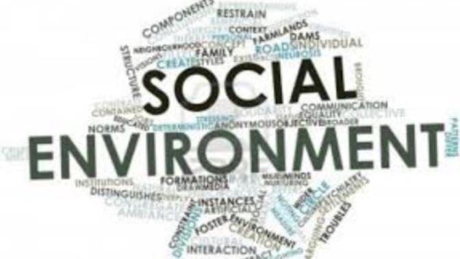 Do you think our environment impacts our sexuality or are we just born with a certain sexuality?