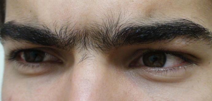 Would you rather: have a unibrow or no eyebrows at all?
