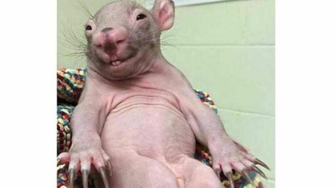 Your thoughts on your SO/crush without makeup or chilling at home look?