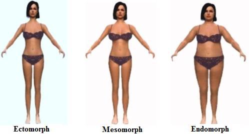 What's my body type? Measurements are 36-26-38 Also what's the best body type for a girl to have?