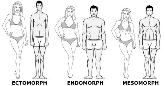 What's my body type? Measurements are 36-26-38 Also what's the best body type for a girl to have?
