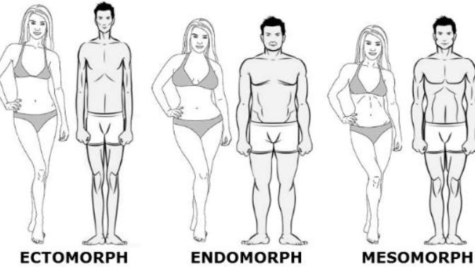 What's my body type? Measurements are 36-26-38 Also what's the best body type for a girl to have?