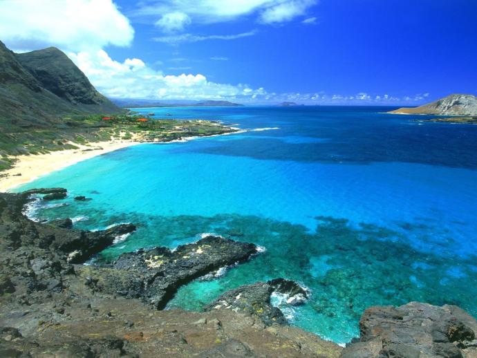 Which vaca should I take?