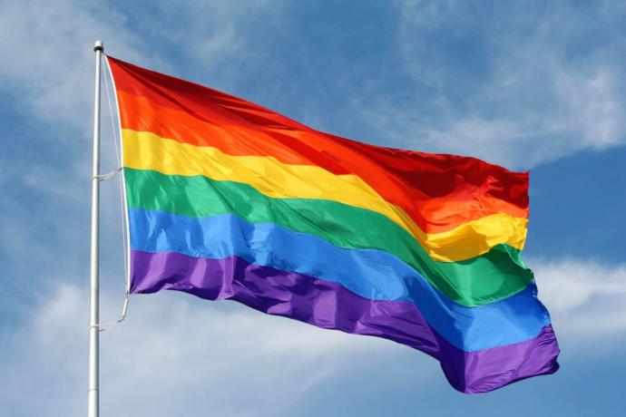Non LGBT members will you vote a homosexual, lesbian or transgender to be president of your country especially if they are married to the same gender?
