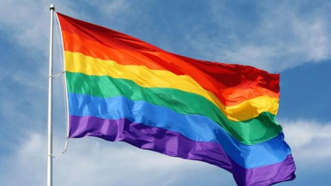Non LGBT members will you vote a homosexual, lesbian or transgender to be president of your country especially if they are married to the same gender?