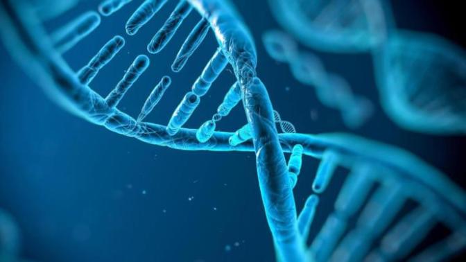 Do you think making children is wrong if you've a diagnose that you can pass on?
