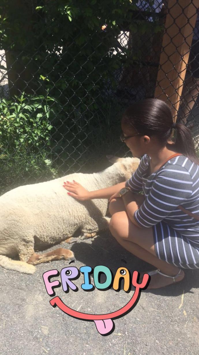 Girls, what's the shortest dress and shortest shorts you've ever worn? GirlsAskGuys