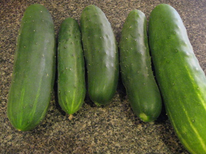 Which cucumber would you like to have?
