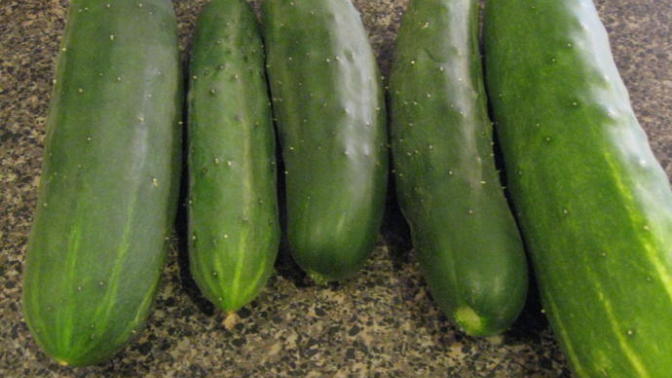 Which cucumber would you like to have?
